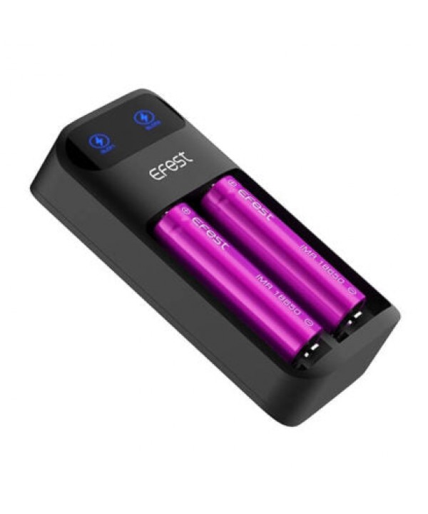 Efest Q2 Battery Charger