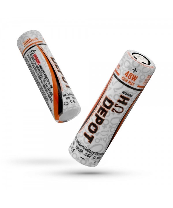 Hohm Tech Hohm Depot 18650 16.8A 3005mAh | 2-Pack | Flawless Vape Shop